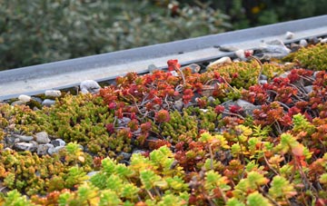 the cost of Hartlepool green roof installation