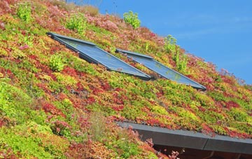 Hartlepool living roof systems