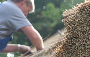 professional Hartlepool thatchers