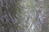 Hartlepool fibreglass roof work